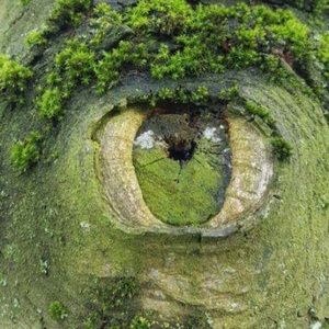 Meet your Posher, Jaljalal